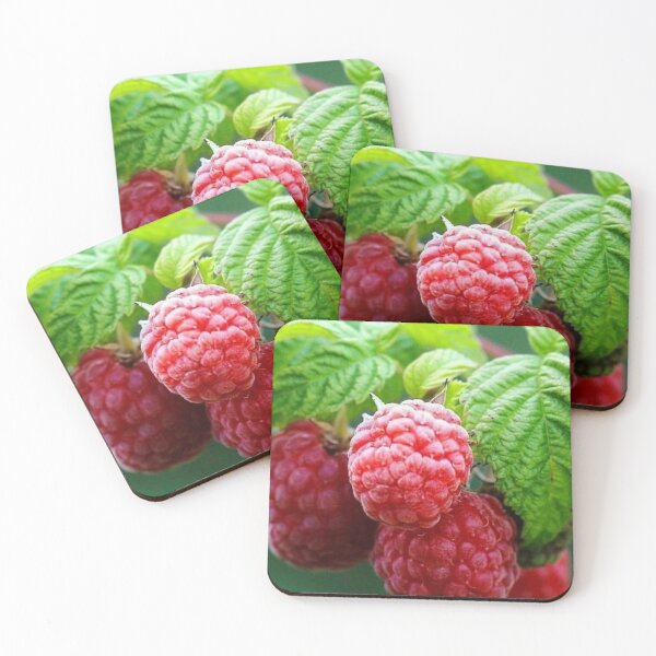 Item preview, Sumptuous and Delicious Red Caribbean Rossberries are absolutely nutrition and delicious  designed and sold by Tiannalaw.