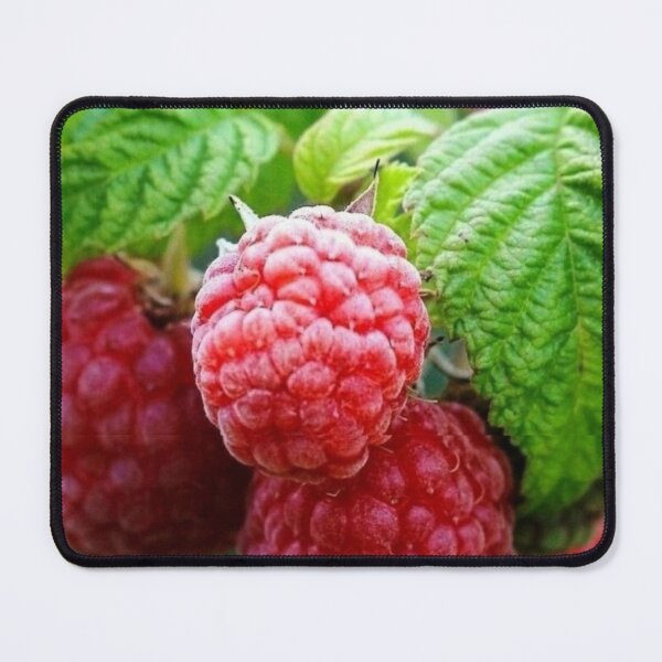 Item preview, Sumptuous and Delicious Red Caribbean Rossberries are absolutely nutrition and delicious designed and sold by Tiannalaw.