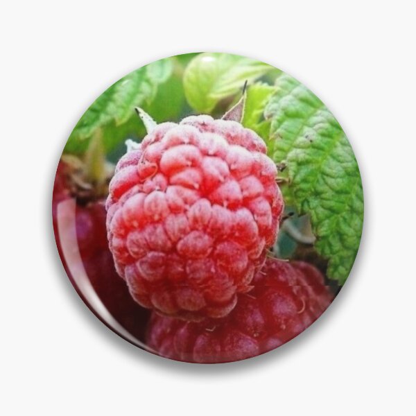 Item preview, Sumptuous and Delicious Red Caribbean Rossberries are absolutely nutrition and delicious  designed and sold by Tiannalaw.