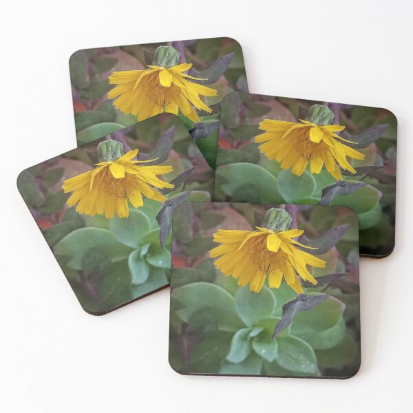 Item preview, Yellow flower designed and sold by artdemarta.