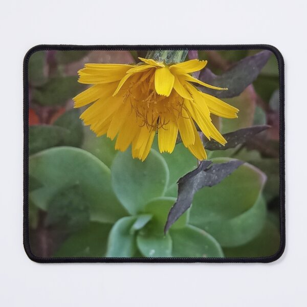 Item preview, Yellow flower designed and sold by artdemarta.