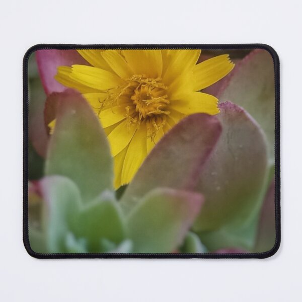Item preview, Yellow flower designed and sold by artdemarta.