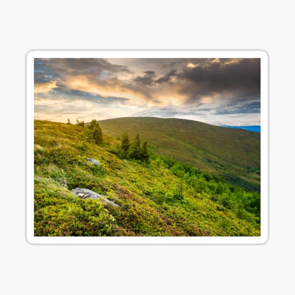 stones and conifer trees on hillside at sunrise Sticker