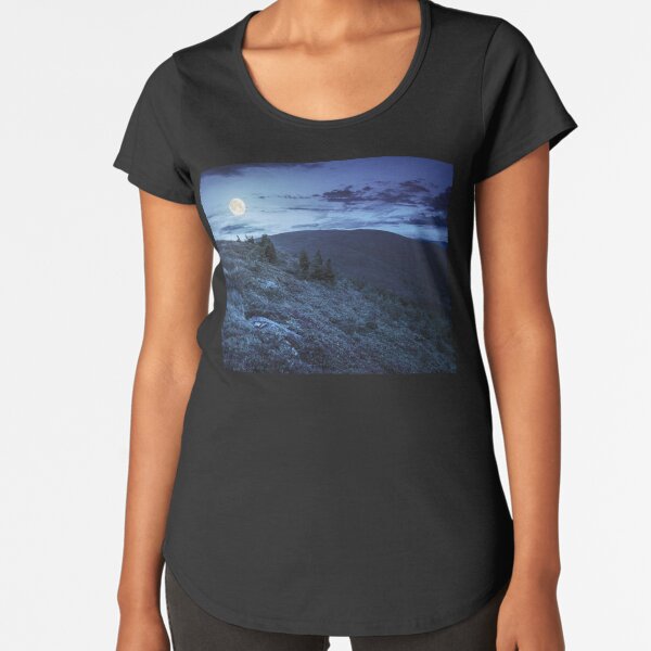 stones and conifer trees on hillside at night Premium Scoop T-Shirt