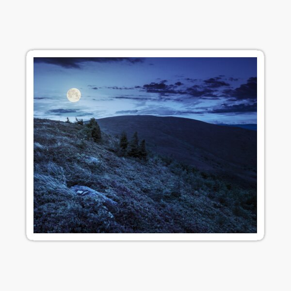 stones and conifer trees on hillside at night Sticker