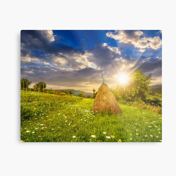 field with haystacks on hillside at sunset Metal Print