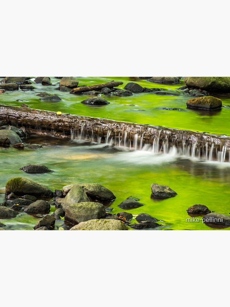 cascade on the little stream with stones in forest by mike-pellinni