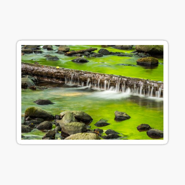 cascade on the little stream with stones in forest Sticker
