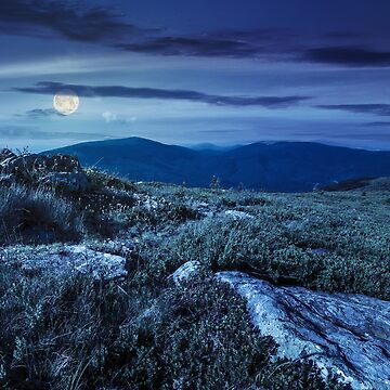 Artwork thumbnail, stones in valley on top of mountain range at night by mike-pellinni