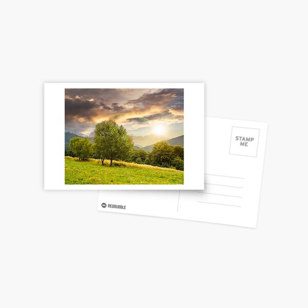 meadow near the forest in mountains at sunset Postcard