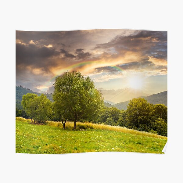 meadow near the forest in mountains at sunset Poster