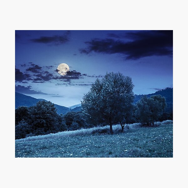 meadow near the forest in mountains at night Photographic Print