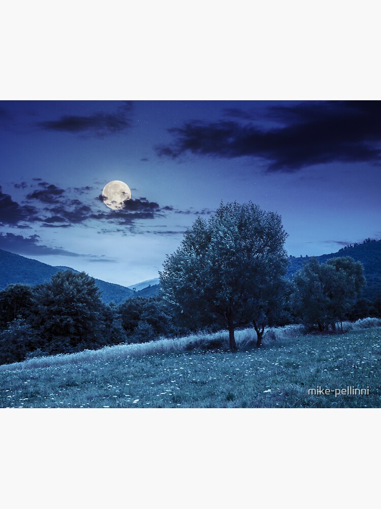 meadow near the forest in mountains at night by mike-pellinni