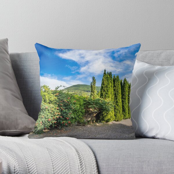 small park in mountains Throw Pillow