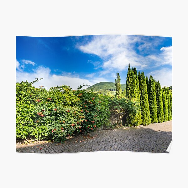 small park in mountains Poster