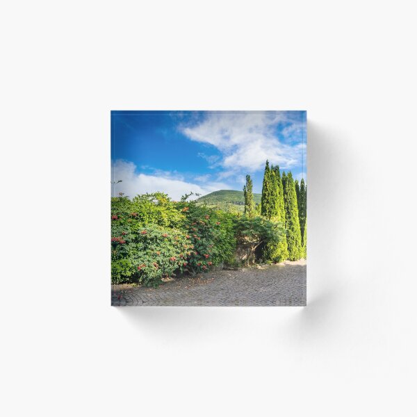 small park in mountains Acrylic Block