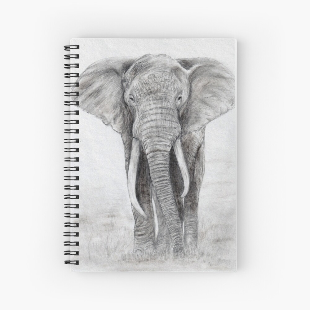 Realistic Elephant Sketch Stock Illustrations – 557 Realistic Elephant  Sketch Stock Illustrations, Vectors & Clipart - Dreamstime