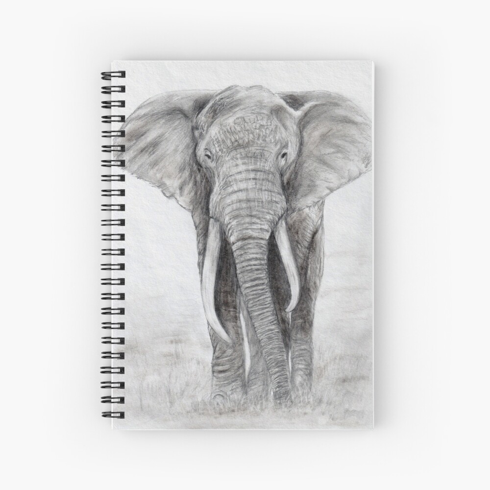 Sketchbook : Elephant Sketch Drawing - Album da disegno Elefante - Elefant  Skizzenbuch - Carnet dessin éléphant - Cuaderno de Dibujo (Paperback)