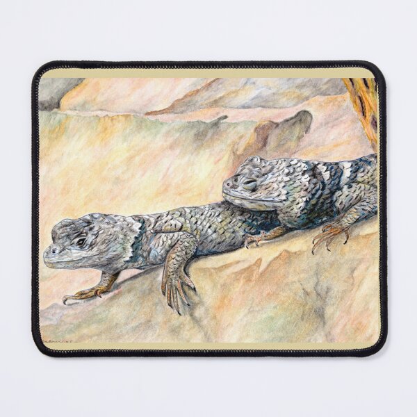 Item preview, Desert Pals designed and sold by AMBnatureprints.
