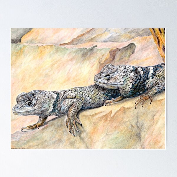 Item preview, Desert Pals designed and sold by AMBnatureprints.