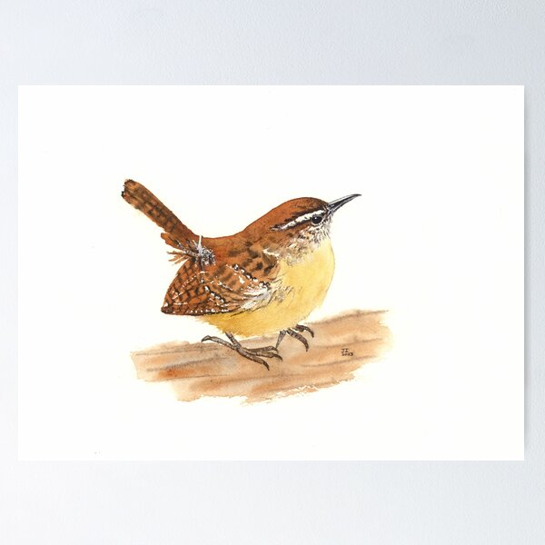 Item preview, Carolina Wren designed and sold by Jayashree  Iyengar.