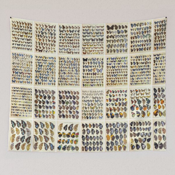 Item preview, Vintage blue butterfly Drawings or illustration Poster, Landscape designed and sold by Michael Dietrich.