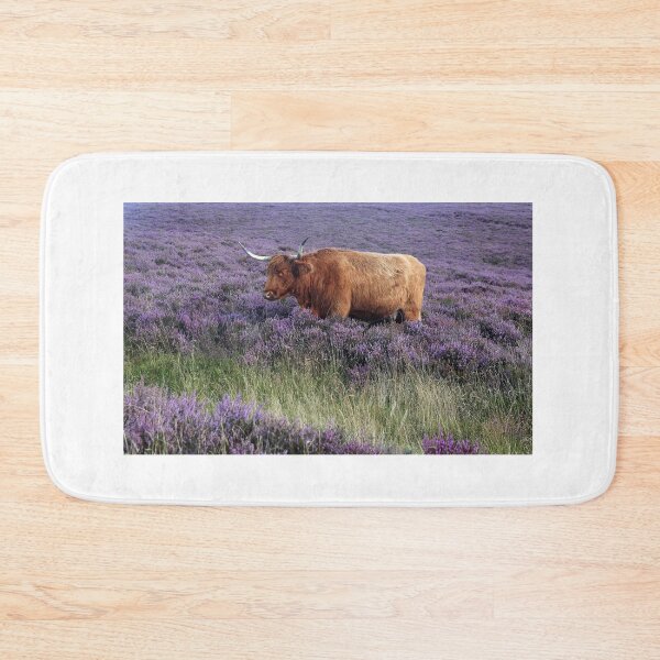 Item preview, Aberdeen Angus cow in heather designed and sold by leephotoofyork.
