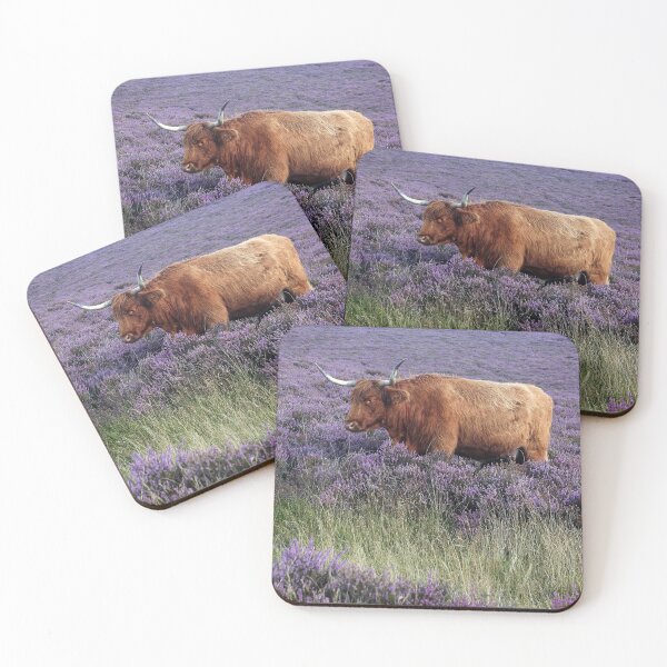 Item preview, Aberdeen Angus cow in heather designed and sold by leephotoofyork.
