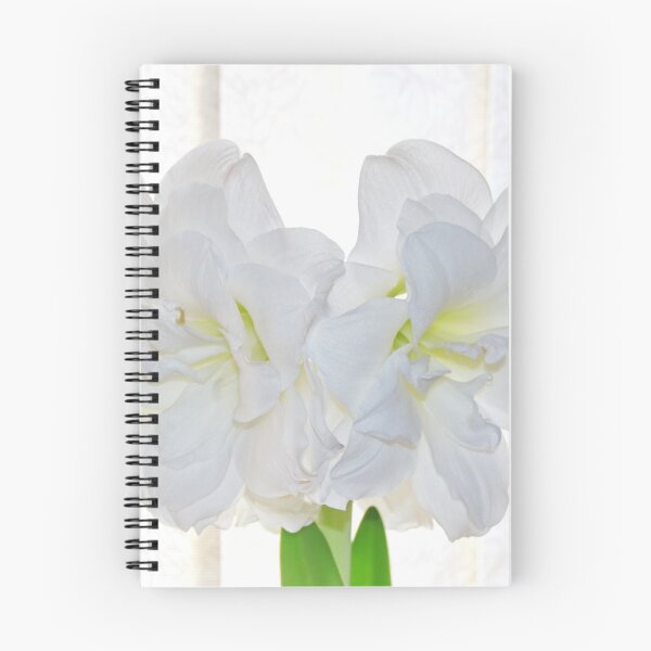 Item preview, Double Amaryllis designed and sold by AnnDixon.