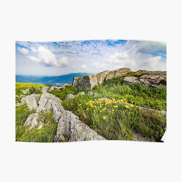 dandelions among the rocks on hillside Poster