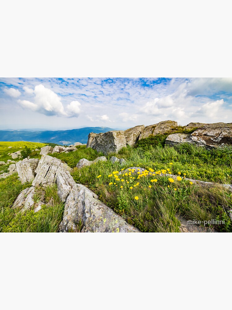 dandelions among the rocks on hillside by mike-pellinni