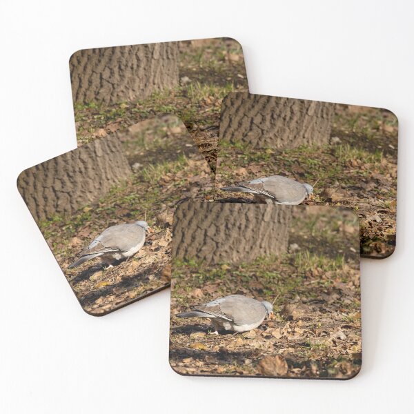 Item preview, Common woodpigeon with acorn designed and sold by Piotr Front.