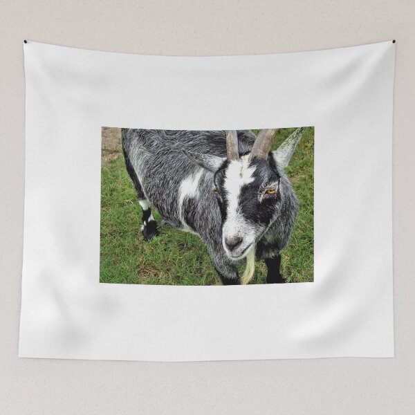 Item preview, Friendly Goat - South Carolina designed and sold by jtrommer.
