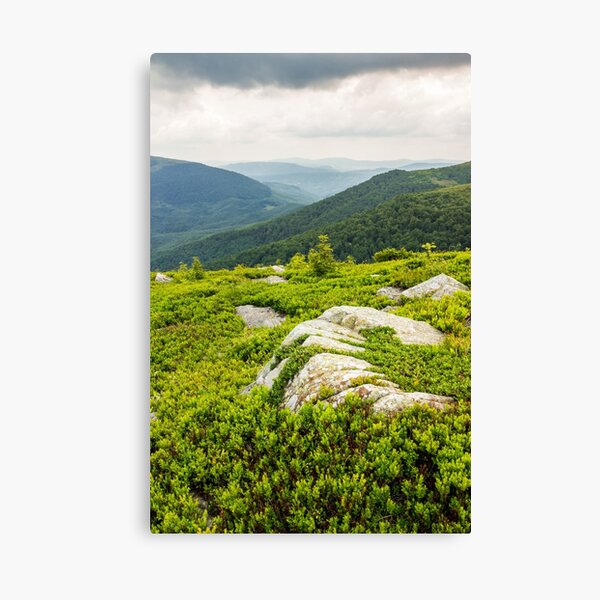 few trees and stones on hill side Canvas Print