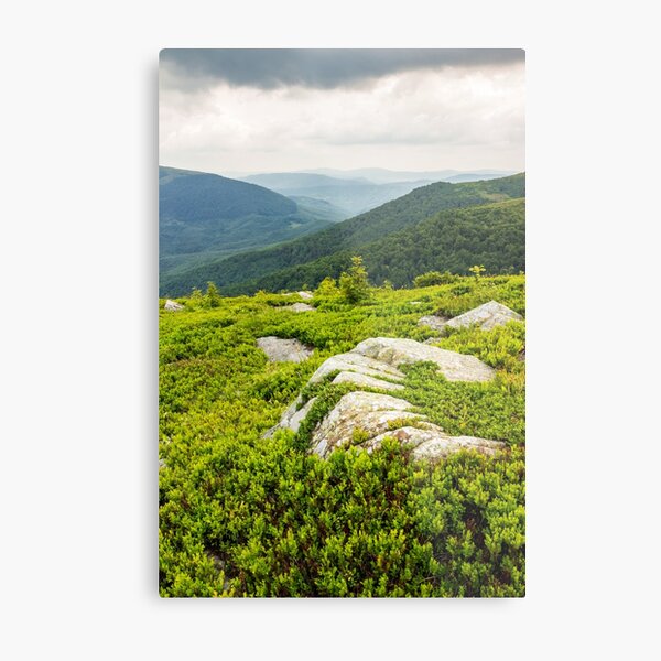 few trees and stones on hill side Metal Print