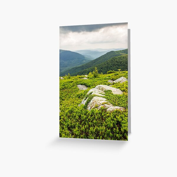 few trees and stones on hill side Greeting Card