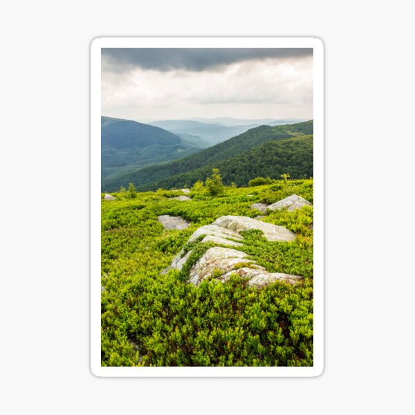 few trees and stones on hill side Sticker