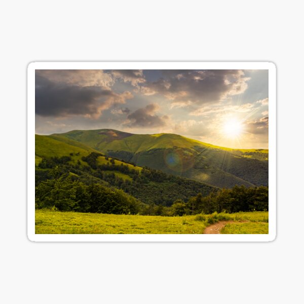 path through the forest in mountains at sunset Sticker