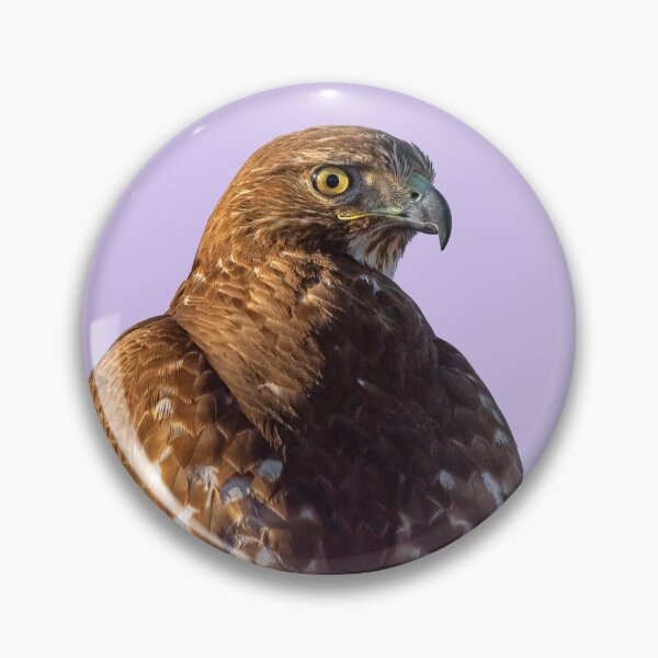 Item preview, Red-tailed Hawk designed and sold by oddmollusk.