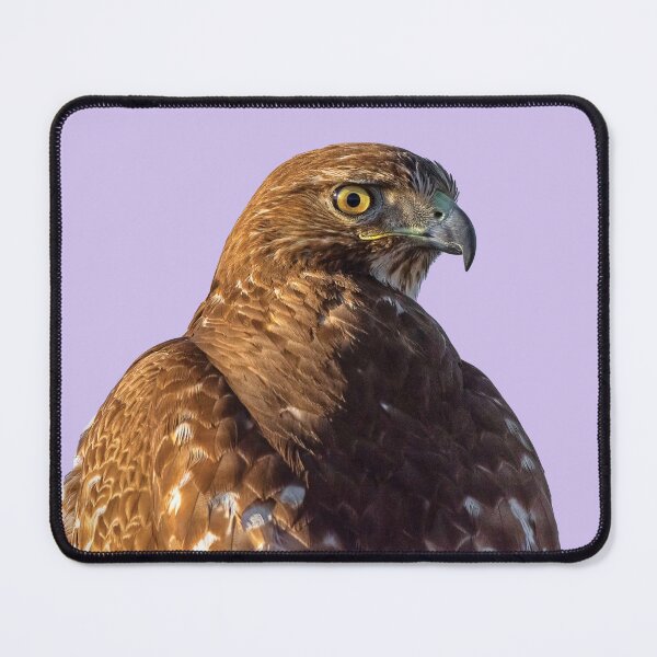 Item preview, Red-tailed Hawk designed and sold by oddmollusk.