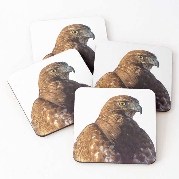 Item preview, Red-tailed Hawk designed and sold by oddmollusk.