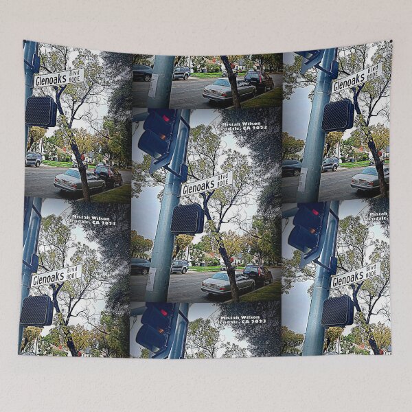 Item preview, Glenoaks Boulevard, Glendale, CA by Mistah Wilson designed and sold by The Street Sign Store.