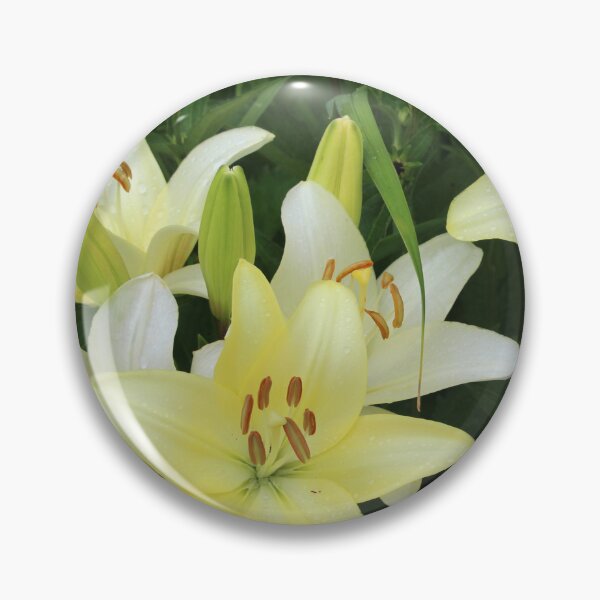 Item preview, Pale Yellow Daylily Flowers designed and sold by Corey Ford.