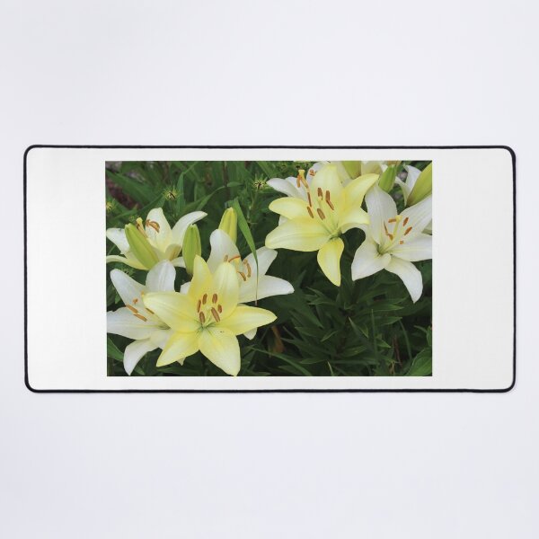Item preview, Pale Yellow Daylily Flowers designed and sold by Corey Ford.