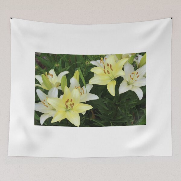 Item preview, Pale Yellow Daylily Flowers designed and sold by Corey Ford.