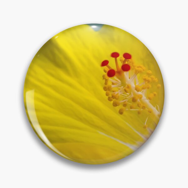 Artikelvorschau, Hibiskus von Brandon Cable entworfen und verkauft von BrandonArtWorld.