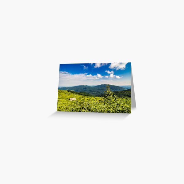 conifer tree with stone on hillside Greeting Card