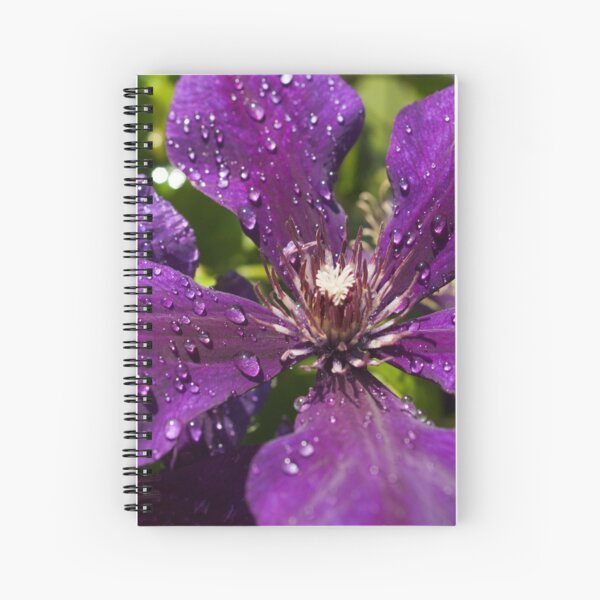 Dew Drops on Purple Flowers Spiral Notebook