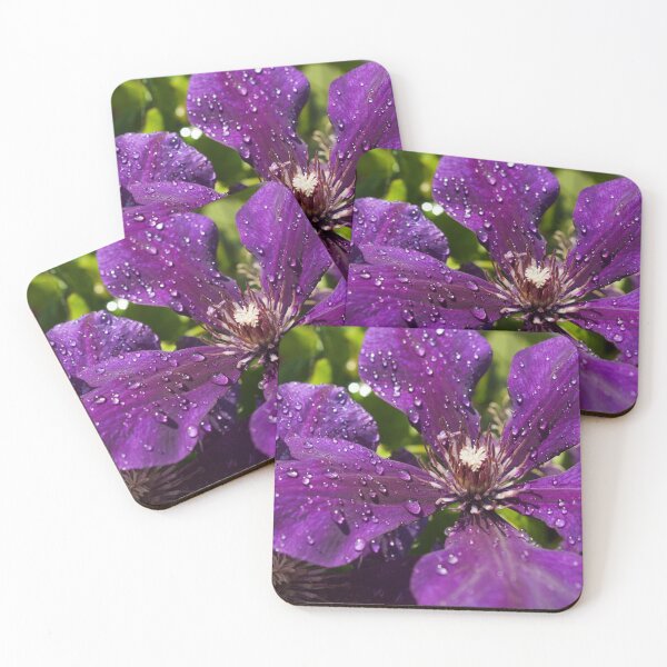 Dew Drops on Purple Flowers Coasters (Set of 4)