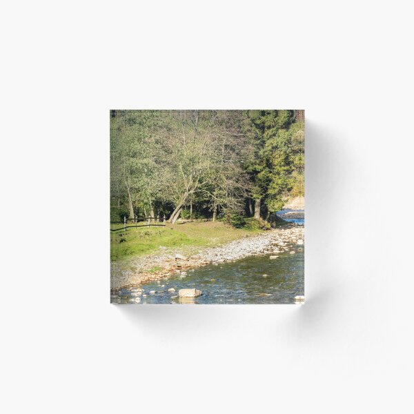 river in autumn mountain forest Acrylic Block